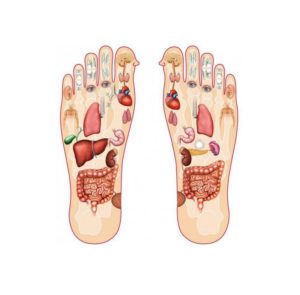 carte pieds organes
